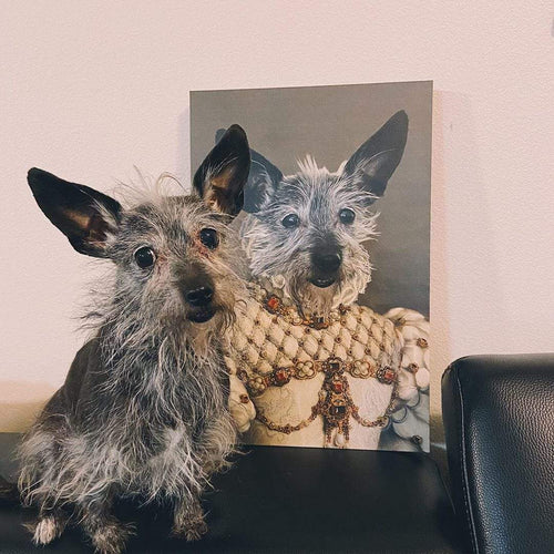 Crown and Paw - Canvas The Princess - Custom Pet Canvas