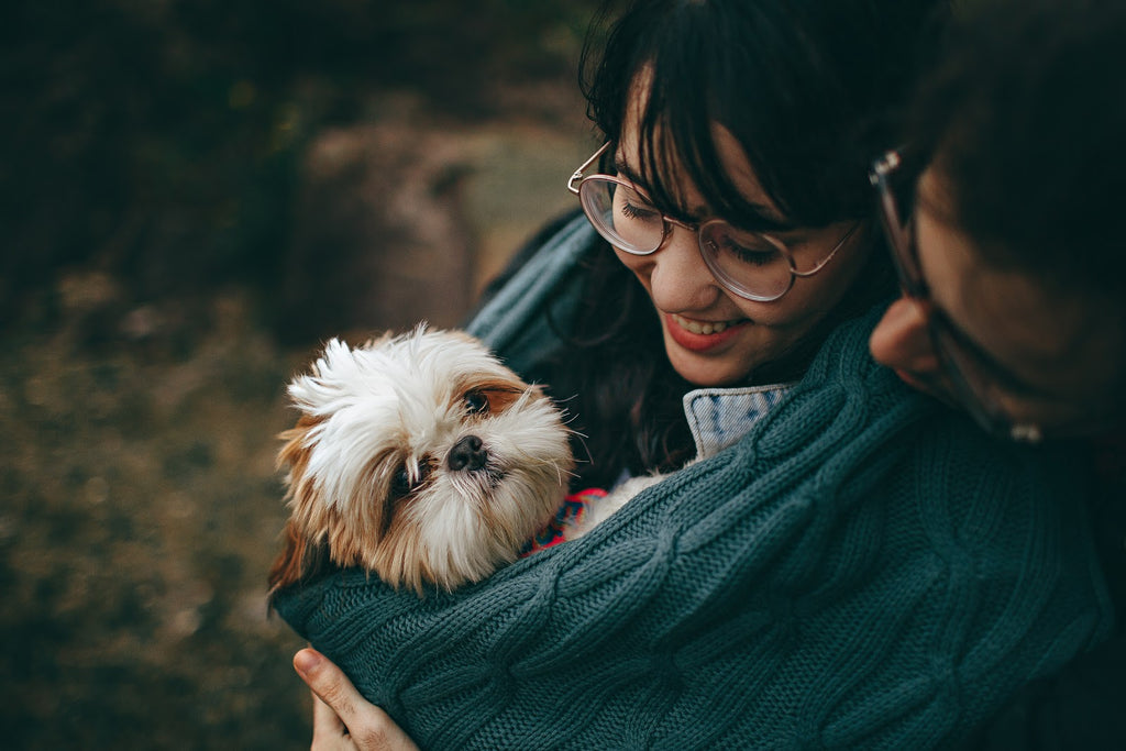 Happy pet parents with dog 2