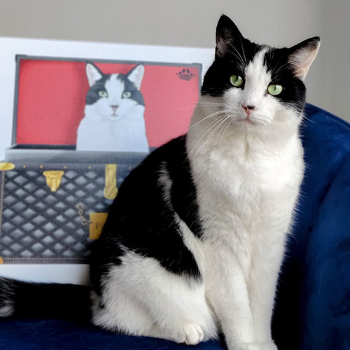 Crown and Paw - Black and Gold Luxury Trunk Pet Portrait
