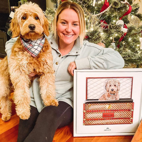 Crown and Paw - Classic Luxury Trunk Pet Portrait
