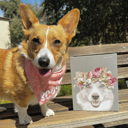 Crown and Paw - Canvas Floral Crown Pet Portrait - Custom Canvas