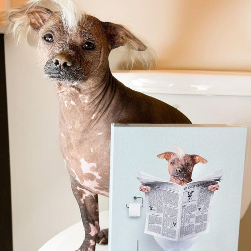 Crown and Paw - Canvas Restroom Pet Portrait - Custom Pet Art