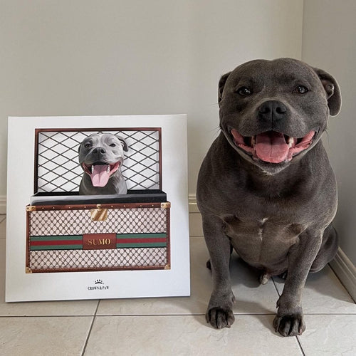 Crown and Paw - Boujee Luxury Trunk Pet Portrait