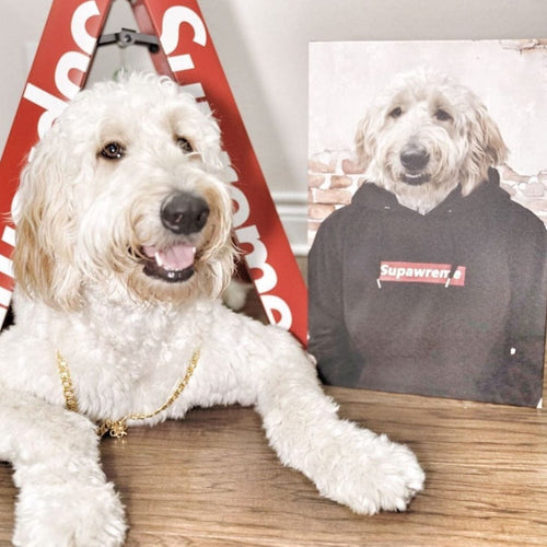 Crown and Paw - Canvas The Hypebeast - Custom Pet Canvas
