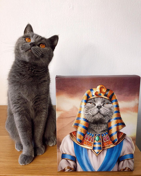 Selecting The Ideal Pet Photo For Your Custom Canvas: A Practical Guide