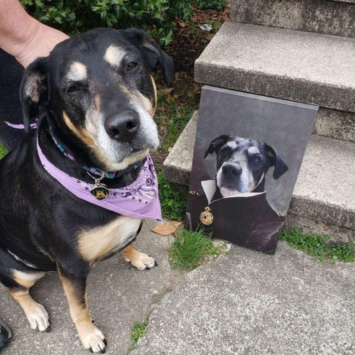 Crown and Paw - Canvas The Duchess - Custom Pet Canvas