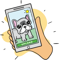 Upload you dog photo