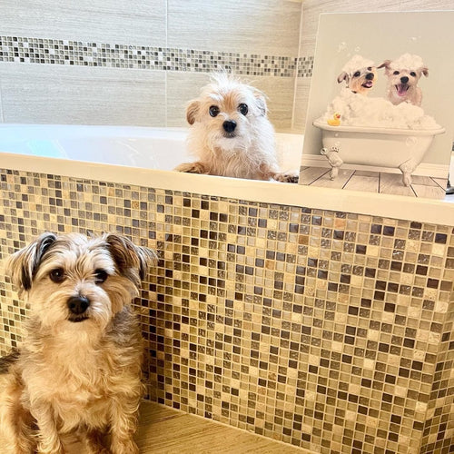 Crown and Paw - Canvas Bath Tub Pet Portrait (Two Pets) - Custom Pet Art