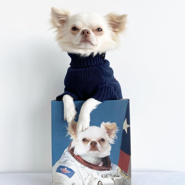 From Woofs to Wows: The Ultimate Guide to Gifting for New Dog Owners